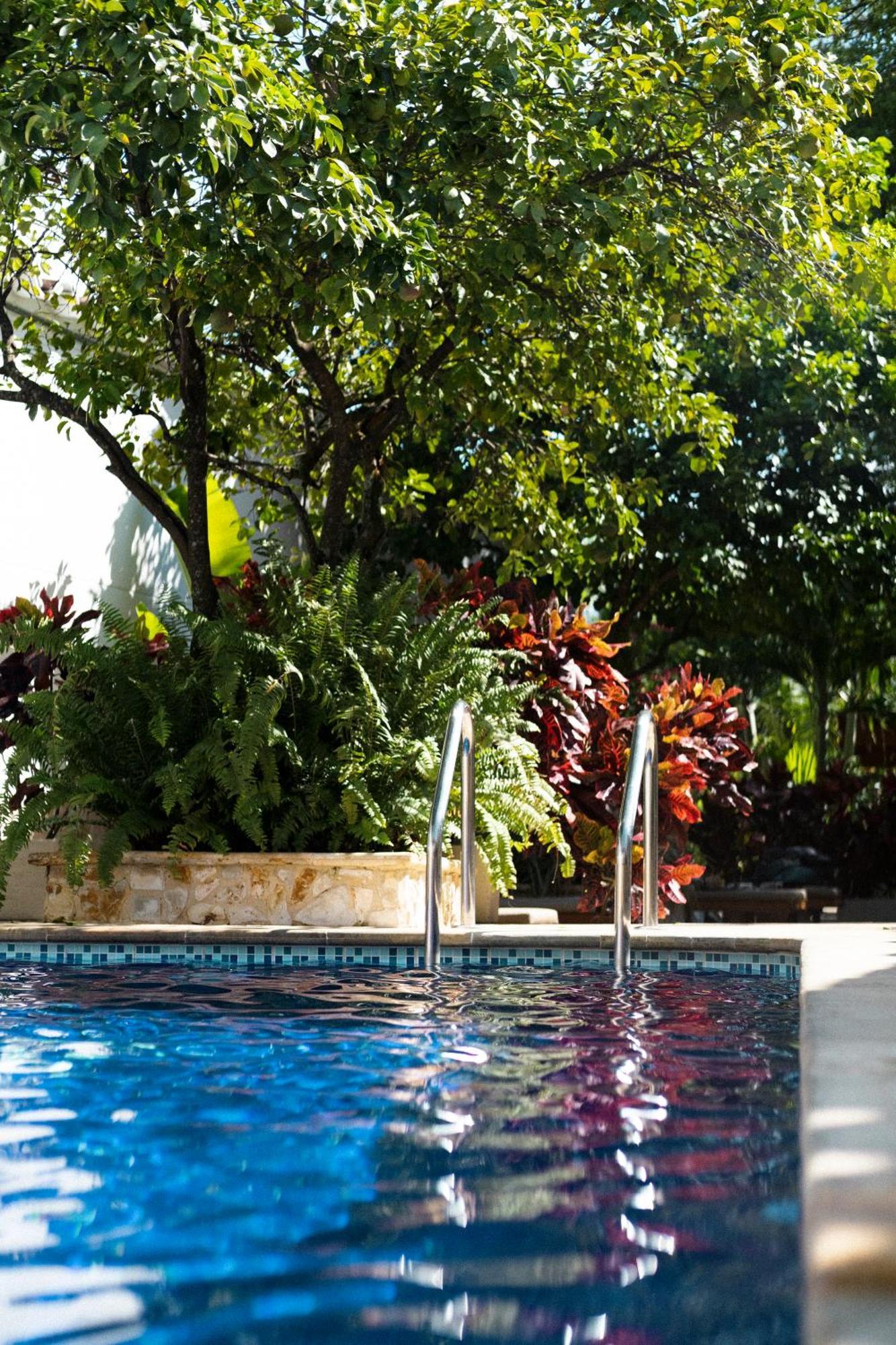 Casa Bixa Hotel Boutique - Mayores De 12 Anos - (Adults Only) Санта-Фе-де-Антіокія Екстер'єр фото